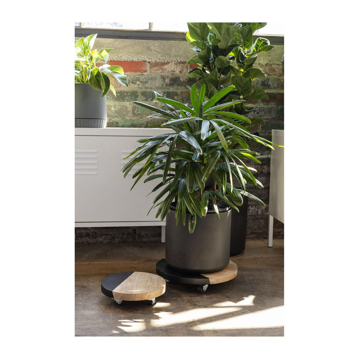 Kylo Plant Stand - Small