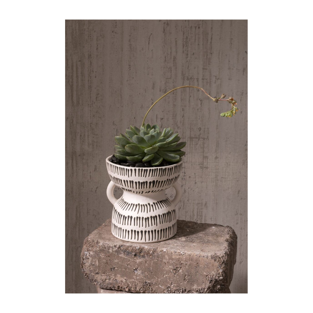 AMAZON POT