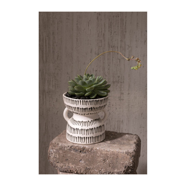 AMAZON POT