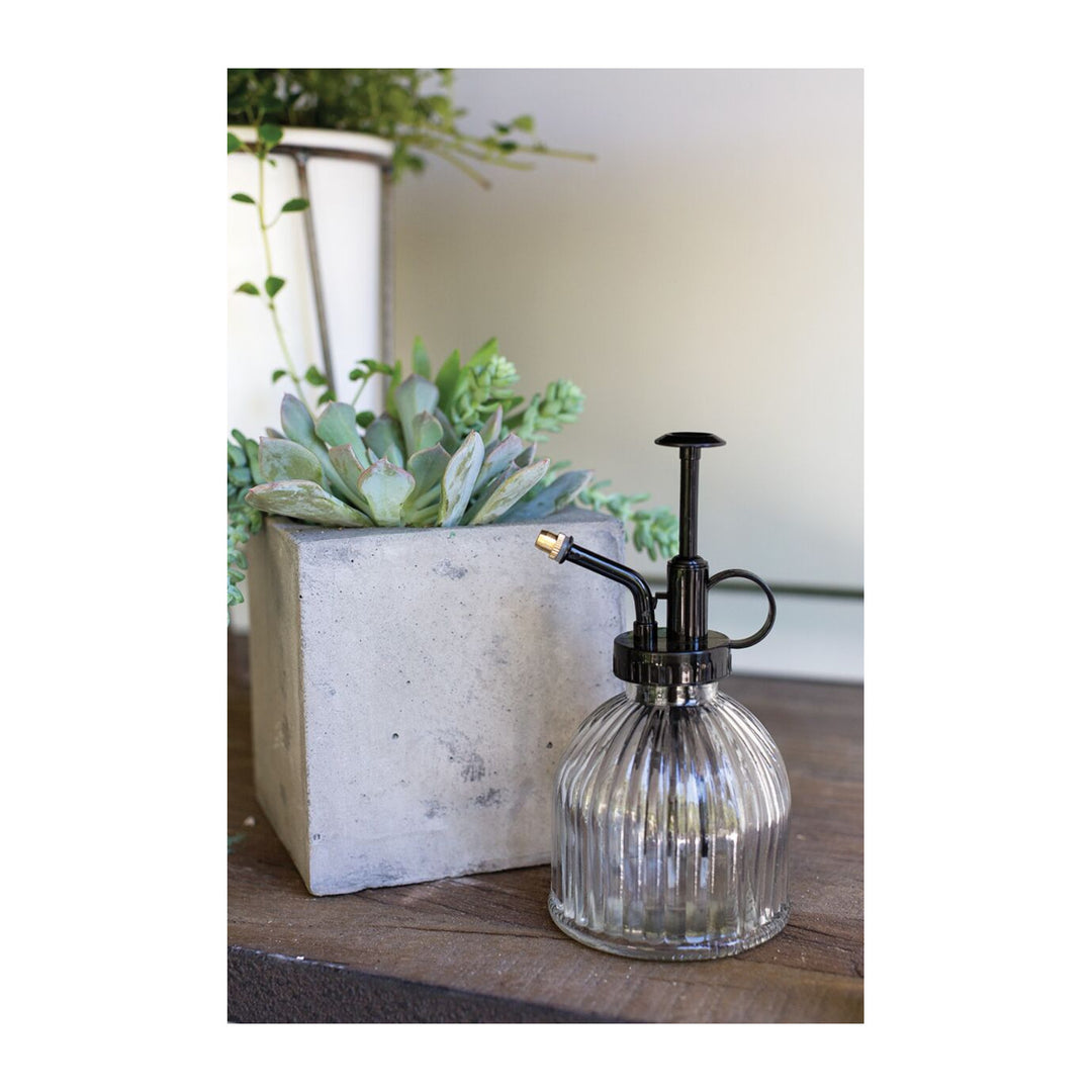Carlise Plant Mister - Black